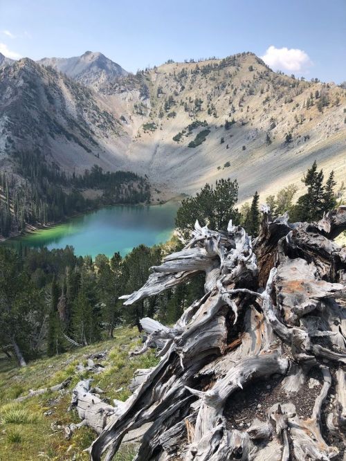 A scenic view of a mountain landscape with a turquoise lake, surrounded by trees and rocky terrain.