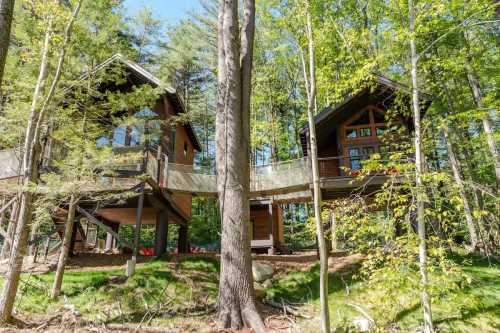 Two modern treehouses connected by a bridge, surrounded by lush green trees and a sunny blue sky.