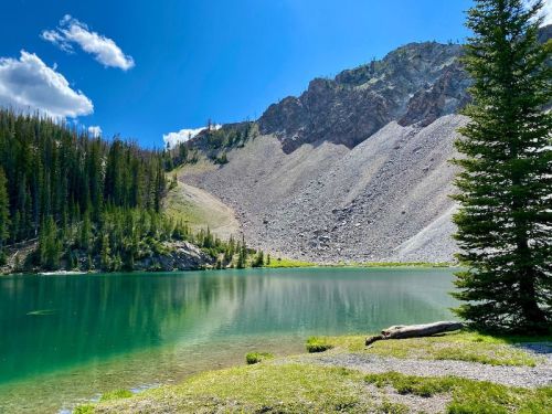A serene lake surrounded by lush greenery and rocky mountains under a clear blue sky with fluffy clouds.