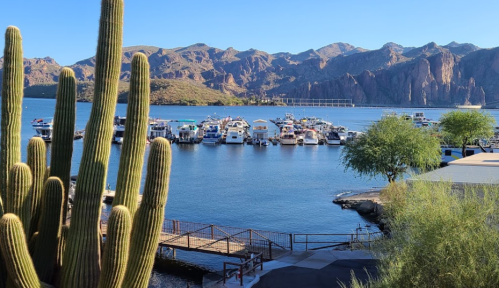 A scenic view of a marina with boats, surrounded by mountains and cacti under a clear blue sky.