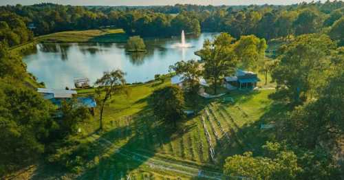 Aerial view of a serene lake with a fountain, surrounded by lush greenery and a landscaped area with rows of plants.