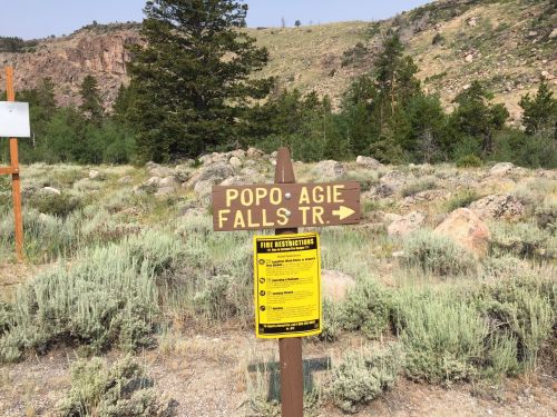 A brown trail sign pointing to "Popo Agie Falls Trail" with a yellow information poster nearby, set in a natural landscape.
