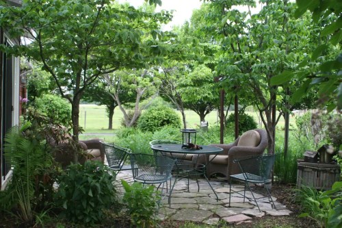 A serene outdoor patio with stone flooring, surrounded by greenery and trees, featuring a table and chairs for relaxation.