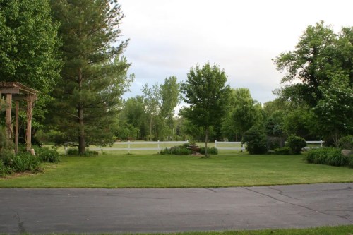 A lush green lawn surrounded by trees and shrubs, with a paved driveway and a white fence in the background.