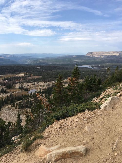 A scenic view of a mountainous landscape with trees, valleys, and a distant lake under a blue sky.