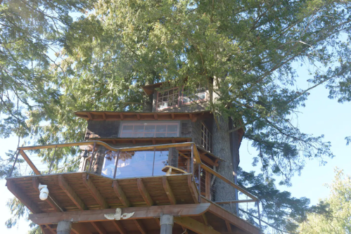 A treehouse nestled in a large tree, featuring a wooden deck and multiple windows, surrounded by greenery.
