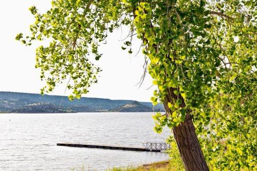 A serene lakeside view with green leaves framing the scene and a wooden dock extending into the water.