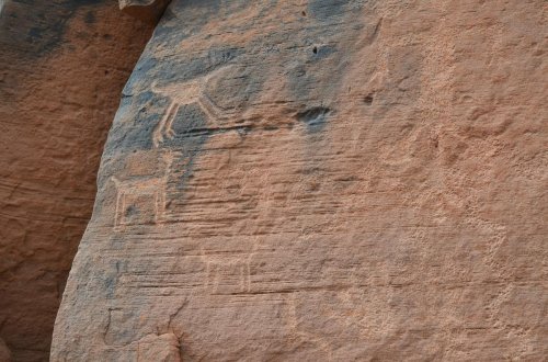 Petroglyphs carved into a rocky surface, depicting animals and abstract shapes in earthy tones.