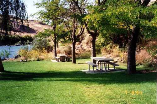 A serene picnic area by a river, featuring tables under trees and lush green grass.