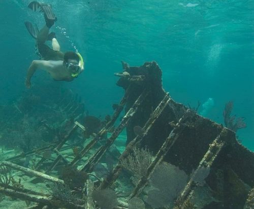 A diver explores a sunken shipwreck surrounded by coral and marine life in clear blue water.