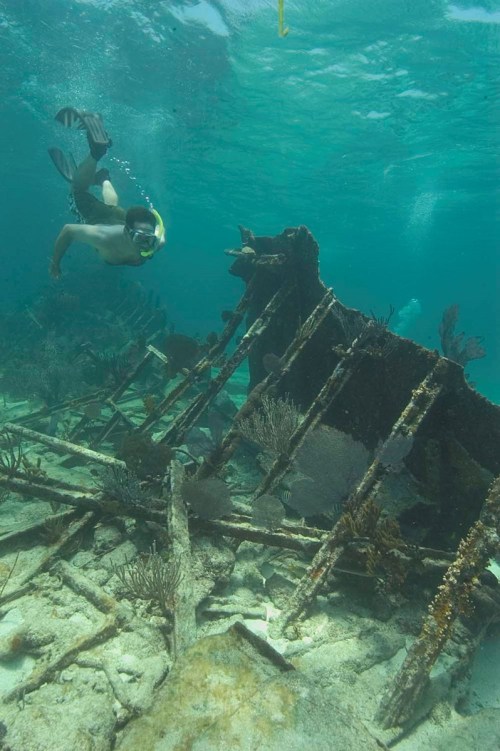 A diver explores a sunken shipwreck surrounded by coral and marine life in clear blue water.