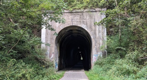 A dark tunnel entrance surrounded by lush greenery and trees, with faint light visible at the far end.