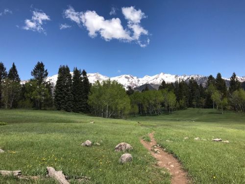 A scenic landscape featuring a grassy path leading through trees, with snow-capped mountains and a blue sky in the background.