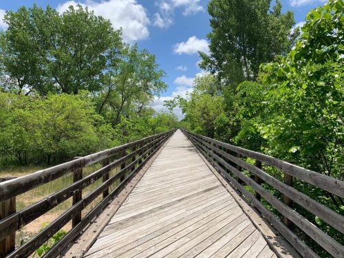 A wooden bridge stretches through lush greenery under a bright blue sky with fluffy clouds.