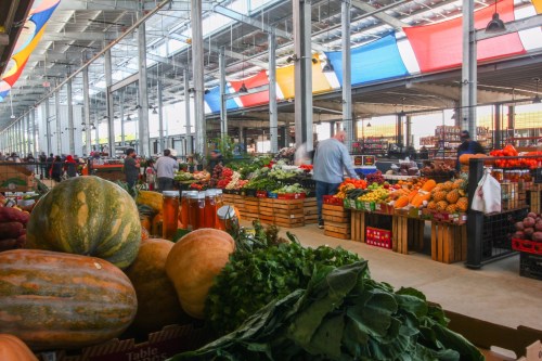 A vibrant market filled with fresh produce, including pumpkins, greens, and colorful fruits, under a spacious roof.