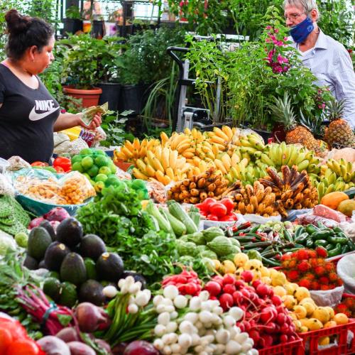 A vibrant market scene with a woman and a man surrounded by a variety of fresh fruits and vegetables.