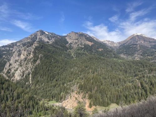 A scenic view of lush green mountains under a blue sky with scattered clouds and patches of snow on the peaks.