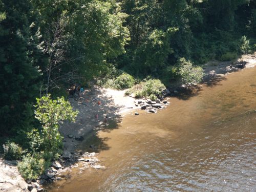 A sandy riverbank surrounded by trees, with people enjoying the water on a sunny day.