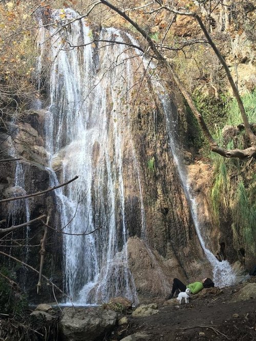 A person relaxes by a waterfall, with a small dog nearby, surrounded by autumn foliage and rocky terrain.