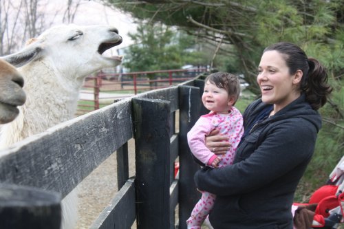A woman holds a smiling baby near a fence, while a llama appears to be vocalizing nearby.