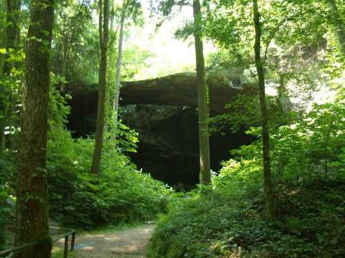 A lush green forest with tall trees surrounding a large rock arch, creating a serene natural pathway.