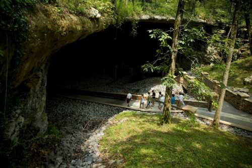 A group of people walking along a path near a large cave entrance surrounded by trees and rocky terrain.