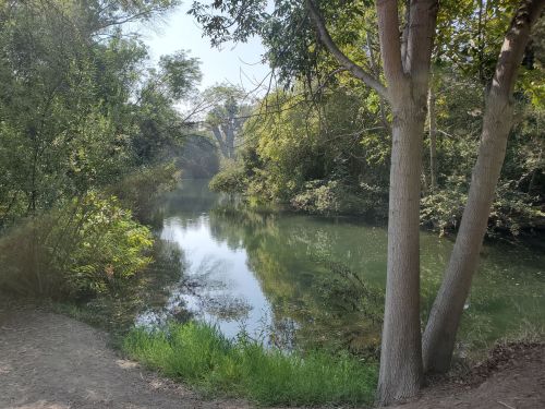 A serene river scene surrounded by lush greenery and trees, reflecting the calm water under a clear sky.
