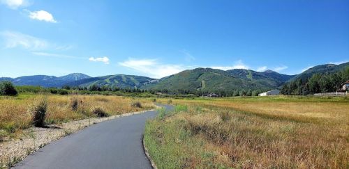 A winding path through a grassy field with mountains in the background under a clear blue sky.