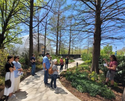 A group of people gathers outdoors, listening to a speaker near trees and greenery on a sunny day.