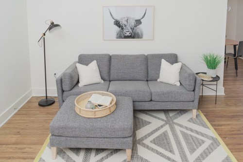 A modern living room featuring a gray sofa with pillows, a coffee table, and a framed cow portrait on the wall.