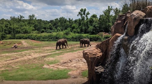 Two elephants walking near a waterfall in a lush, green landscape under a partly cloudy sky.
