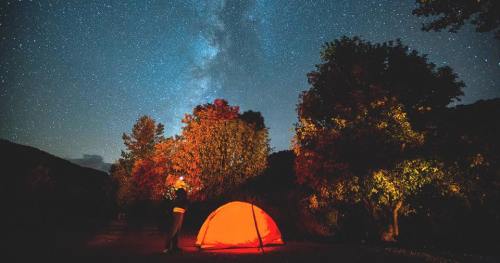 A person stands near an orange tent under a starry sky, surrounded by trees illuminated by soft light.