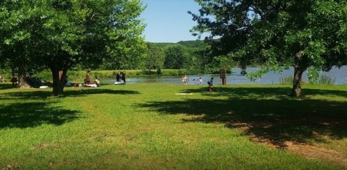 A sunny park scene with people relaxing by a lake, surrounded by green grass and trees.