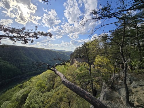 A scenic view of a lush green valley with cliffs under a blue sky filled with clouds. Trees frame the foreground.