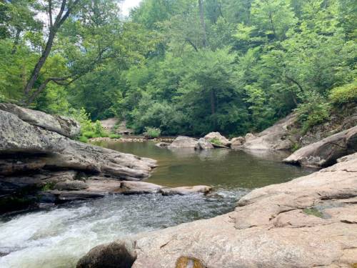 A serene river flows through rocky terrain, surrounded by lush green trees and foliage.