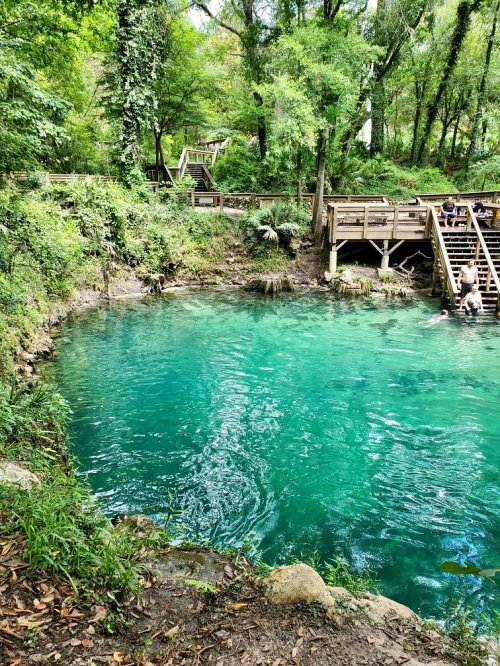 A serene natural spring with clear turquoise water, surrounded by lush greenery and wooden platforms for visitors.