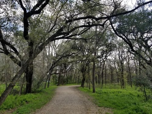 A winding gravel path through a lush green forest with tall trees and overhanging branches.