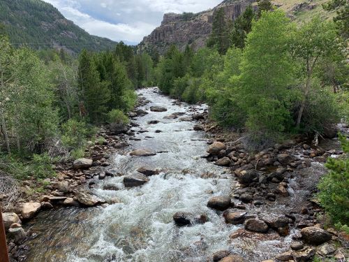 A flowing river surrounded by lush green trees and rocky banks, set against a mountainous landscape.