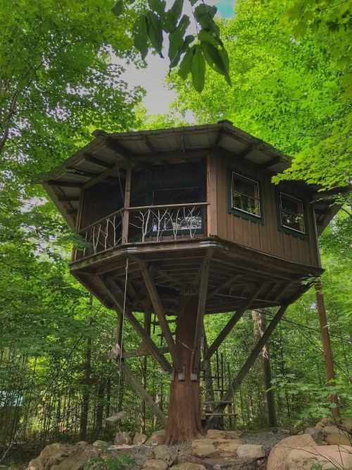 A wooden treehouse perched high on a tree, surrounded by lush green foliage and a rocky base.