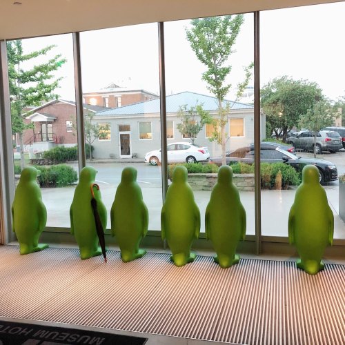 A row of green penguin sculptures stands by a large window, with trees and cars visible outside.