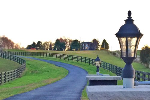 A winding driveway leads to a house in the distance, framed by a fence and lampposts on either side.