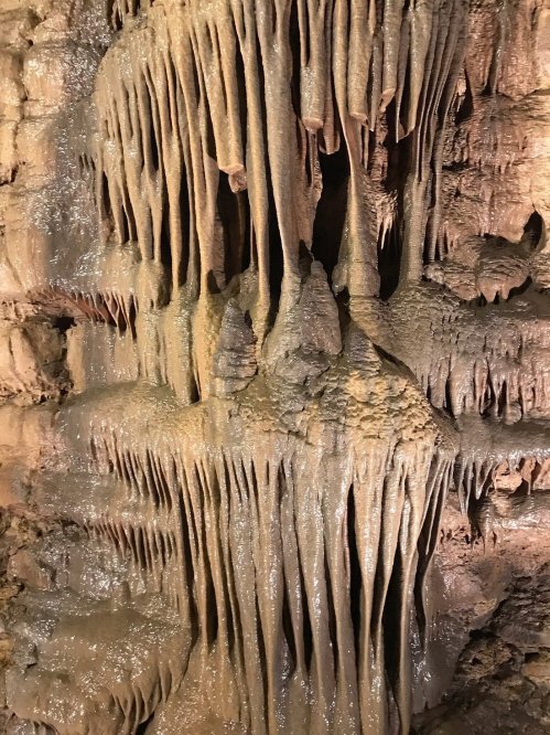 Close-up of a textured rock formation with dripping stalactites and mineral deposits in a cave setting.