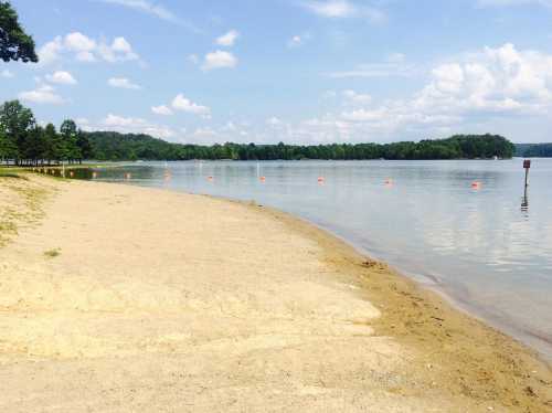 A sandy beach by a calm lake, with orange buoys floating in the water and trees lining the shore under a blue sky.