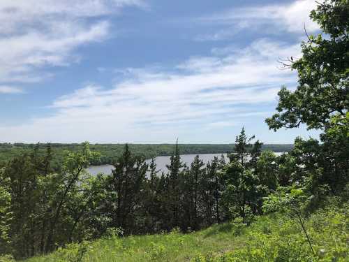 A scenic view of a river surrounded by lush greenery and trees under a partly cloudy sky.