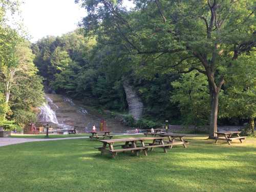 A serene park scene featuring picnic tables, lush greenery, and a waterfall in the background.