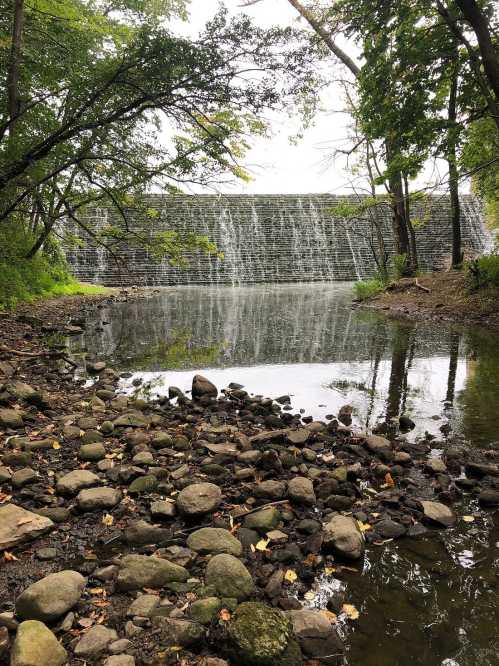 A serene view of a waterfall cascading over a stone dam, surrounded by trees and reflecting in a calm pond.