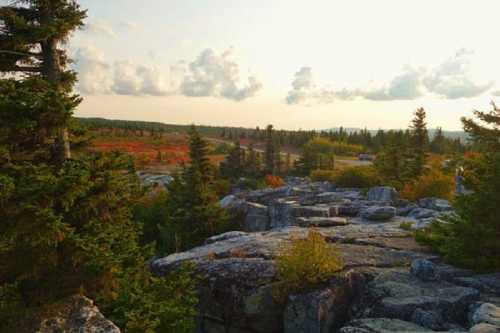 A scenic view of rocky terrain surrounded by trees, with a colorful autumn landscape under a cloudy sky.