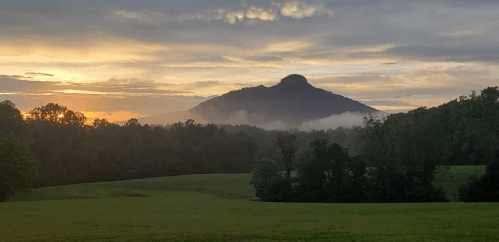 A serene landscape at sunrise, featuring a mountain silhouette and mist over lush green fields and trees.
