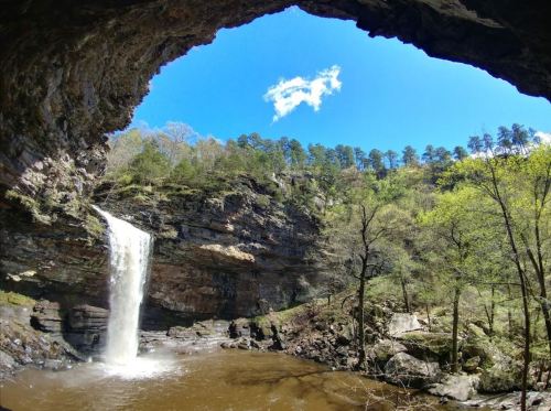 A waterfall cascades into a rocky pool, framed by a cave opening and surrounded by lush greenery and blue skies.