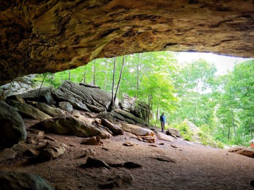 A person stands inside a cave, surrounded by rocks and greenery, with sunlight filtering through the cave opening.